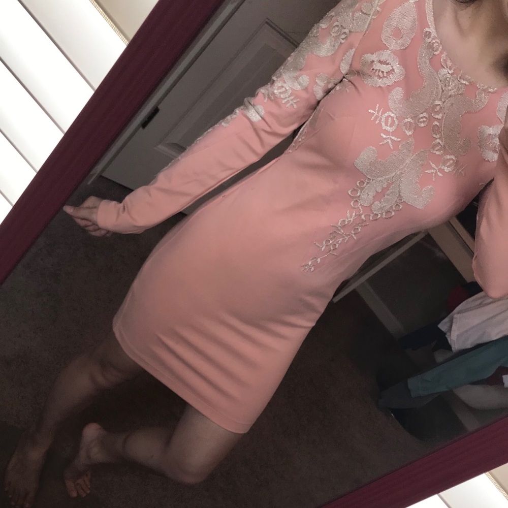 Dusty Rose long sleeve Gianni Bini Dress